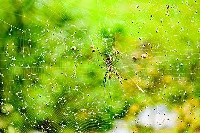 古代三 A大乳影片：穿越古韵，情感盛宴来袭-4