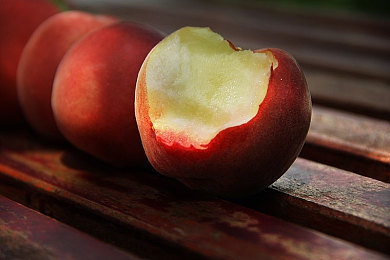 黄色软件视频网站：清朗网络，青少年护航，共筑美好未来-3