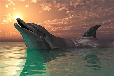 和邻居少妇偷偷好刺激:都市邻里互动游戏走红,浪漫情节引热议-3