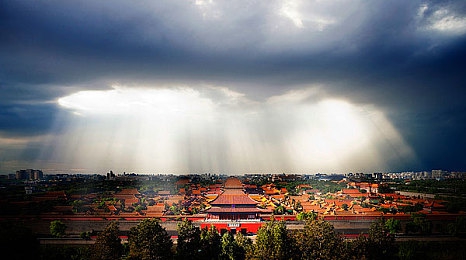 45岁沈阳阿姨叫真好听:沈阳阿姨行善举,名字传遍社区赞-1