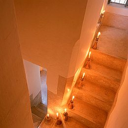 茜特拉莉坐旅行者萝卜：科技新宠：出行神器惊艳亮相-1