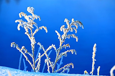 熟妇人妻丰满浓毛撒尿:身材解放新潮流,多元美观引关注-3