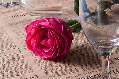 秘密研究所：奇幻大陆奇遇记，新锐游戏引玩家狂热-3