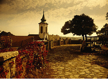 黄软件下载安装3.3.0最新版：软件升级大揭秘，新功能引期待-2