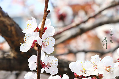 免费看美女脱衣服的软件：揭秘免费看美女软件：免费陷阱还是诈骗圈套？-4
