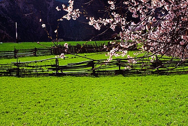 成品人与精品人的思维导图:揭秘:成品人与精品人,差距在哪里?-4