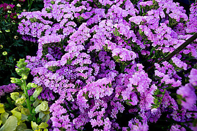 1~120分成绩乘法表有附加罚,小学数学新策略:乘法表附加罚,提升学习兴趣-3