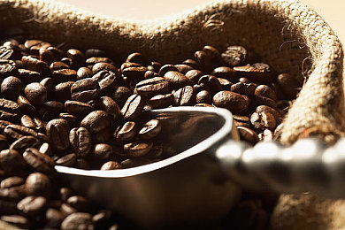 99热这里精品：发现隐藏宝藏，海量精品一键享-4