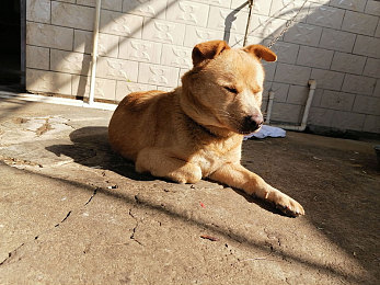 综合一区：科技园区新突破，引领创新再飞跃-4