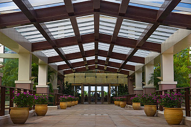 404黄色：网络迷踪：揭秘“404黄色”事件-4