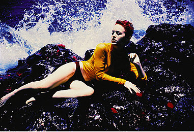 多人添荫蒂弄花蒂视频：园艺盛会，绿意盎然，友谊浓烈-3