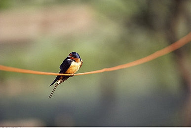 黄应用下载：都市解谜新宠，探索秘密之旅-4