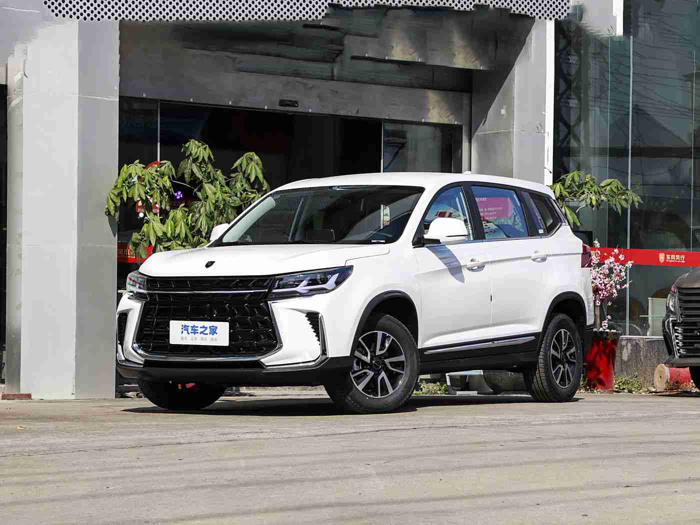 天天色天天干天天射射天天,数字生活新宠,应用“天天”引领潮流-2