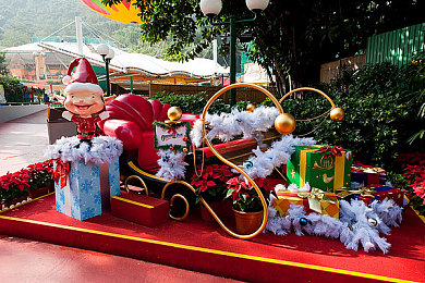 亭亭玉立国色天香综合症图片-1