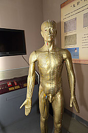 护土被老头添一夜|汽车环保技术突破,创新材料深度养护土壤,为地球绿色未来贡献力量-1