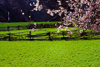 黄色软件APP免费下载｜智能驾驶新风尚，一站式便捷服务，汽车生活焕新彩-1