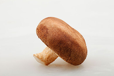 天天干人人操｜“绿色动力、智能驾享、奢华内饰，全新车型引领汽车行业新风尚，即将上市瞩目”-1