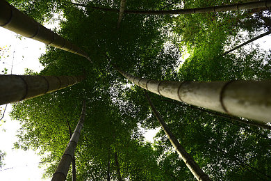 玩弄熟睡武警的坚硬大裤裆|穿越都市繁华,驰骋“大裤裆”驾驭之旅-1