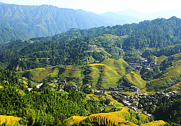 软件下载3.0.3免费oppo版大全装扮｜智能个性焕新，驾驭未来潮流-2