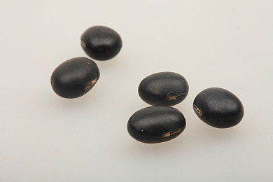 X姓女RAPPER的家乡特色｜山水美食，热情驾驭，家乡风华在行间-1