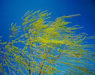 男女叉叉叉软件｜智能驾驶新篇章，人车互联引领汽车生活新潮流-2