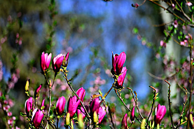 黄金仓库入口免费｜“一站式购车体验升级：知名汽车品牌推出创新服务，打造便捷购车新模式，引消费者纷纷好评！”-3