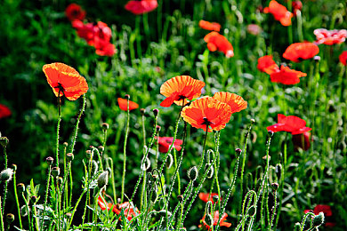 男生和女生一起差差差的软件|智能领航,安全无忧,个性化驾驶新时代-1