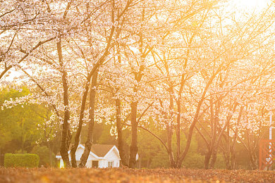 性一一交一一性一一爱｜汽车革新，智享未来，激情驰骋，温馨守护-1