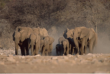 天天干天天摸天天操｜全新SUV性能卓越，舒适体验非凡，引领品质生活新潮流-3