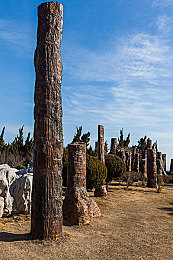 男生操女生视频软件|“创新车载娱乐系统引关注:智能语音助手助力安全驾驶,引领行业潮流新体验”-4