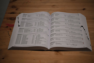 啄木鸟 满天星 总统夫人 夸克|璀璨星光下的总统座驾传奇,"满天星"闪耀车坛新篇章-3