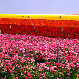 汤姆叔叔tom2368最新网名｜汽车达人汤姆叔叔tom2368新网名“车界智者”，深度解析行业动态与评测，引领绿色出行潮流-1