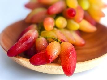 业余半老成熟自由性别业余的定义|汽车文化新潮流:跨越年龄与性别界限,汽车爱好者定义重塑传奇-2