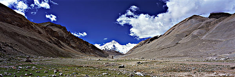 麻花传苏蜜清歌|传统元素现代演绎,全新车型惊艳亮相:中国造车实力再展锋芒-1