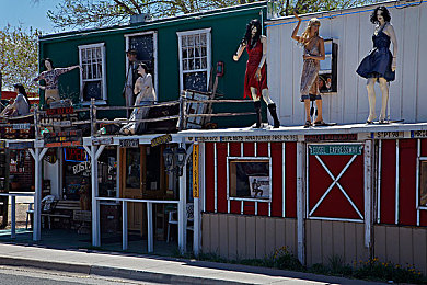 男女查查查|汽车市场风云再起,性别解码购车偏好大揭秘-1