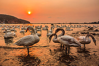 女初 高中 拍击 打屁股|创新风暴席卷汽车界:全新“打屁股”概念车惊艳亮相,安全舒适智能化升级引关注-2