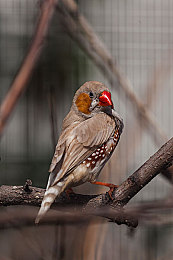 少妇被按摩师摸高潮了｜智能驾驭，愉悦同行：探索（车型名称）带来的非凡驾驶盛宴-5