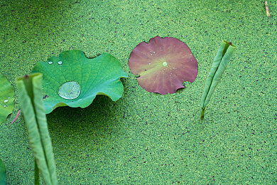 色多多网站导入|汽车内饰革新:个性化定制引领未来出行潮流-2