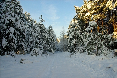 王者荣耀女英雄皮肤无小内皮肤无爱心|融合国潮科技,某品牌新车内饰设计独具匠心,引领驾驶潮流-5