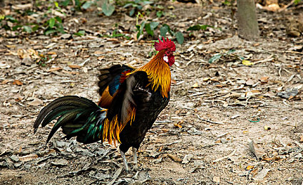 男女差差差APP｜汽车资讯新潮流，互动平台畅享驾驶乐趣-1