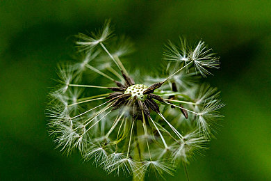 美女班主任露出奶头喂我乳我|全新SUV惊艳上市,家族设计匠心独运,智能安全续航升级-1