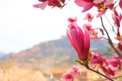 男男互摸jiji秘 隐私软件|智能守护,隐私盾牌,驾驭安心之旅-2