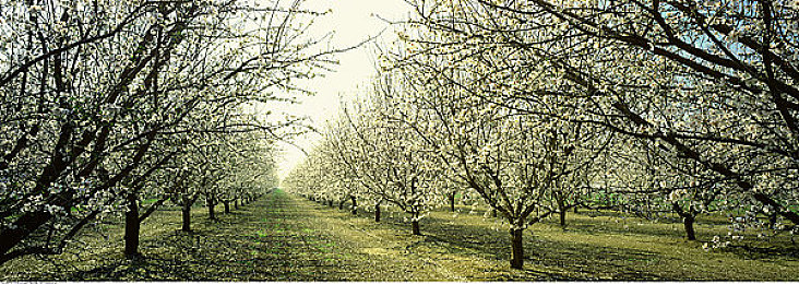 男生和女生一起拆拆拆很痛｜汽车维修团队拆装挑战：男女协作，痛并快乐共成长-4