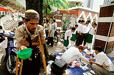 草莓站长统计｜新能源汽车浪潮，智慧出行新纪元，中国智造领航未来-1