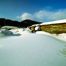 爱聊破解版|汽车社交新势力崛起,车主学习交流新平台助力驾驶技艺提升-2