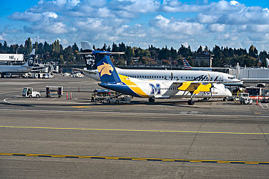 打扑克又痛又叫软件|智能汽车软件隐患频发,技术创新守护行车安全,消费者权益需重视-3