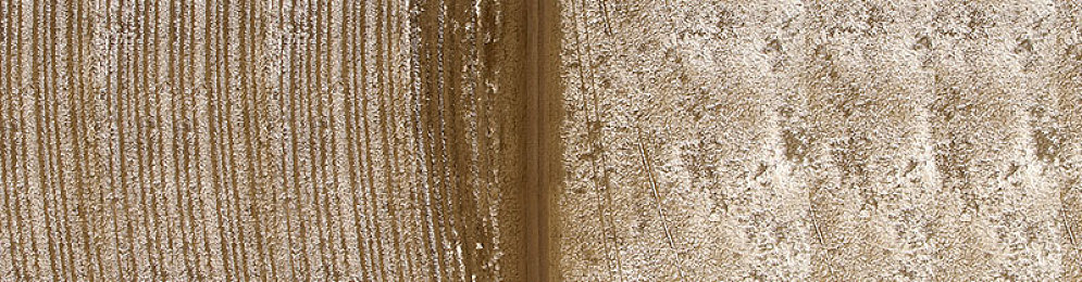 四个黑人玩一越南女|跨域精英联手,赛车舞台上绽放异彩-3