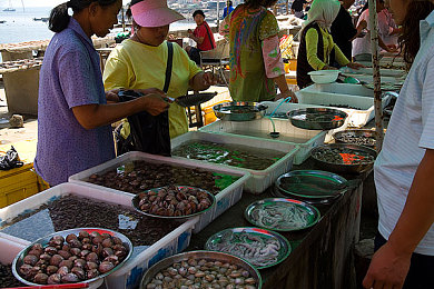 输了被室友玩j一天-1