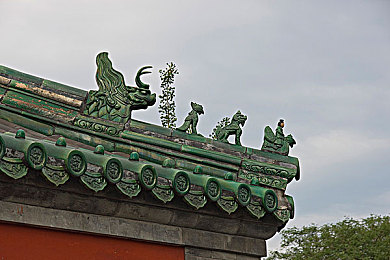 404黄台软件免费大全｜汽车服务平台新宠：一站式资讯工具助您智选新能源汽车与养护-1