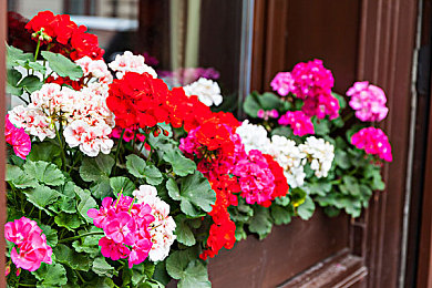 两个球球抖动视频抓球球网站｜“视频捕捉黑科技革新汽车维修，效率成本双降，行业迎来新机遇”-1